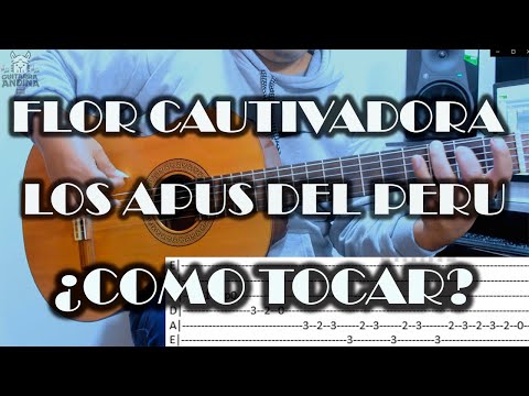Sonata En La M - Guitarra Andina