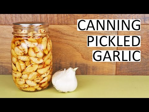Canning Pickled Garlic - A Great and Tasty Way to Preserve Your Garlic!
