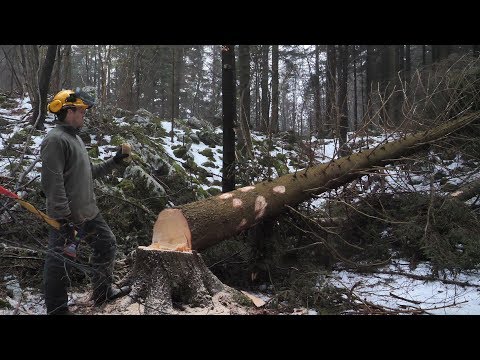 Building Off Grid Log Cabin - Ep 3 / Expect the Unexpected