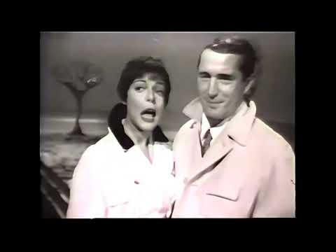 Sandy Stewart Montage 2025 1