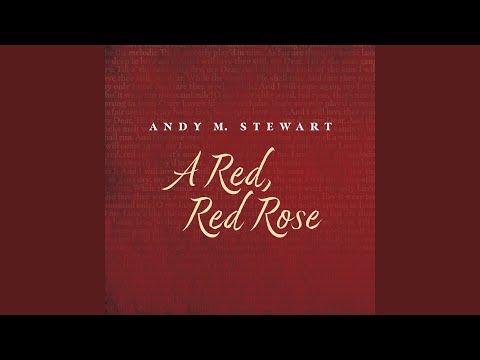 A Red, Red Rose