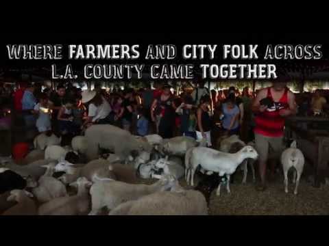 Inside the L.A. County Fair Assn.