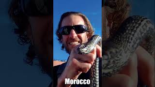 60 Countries in 60 Seconds