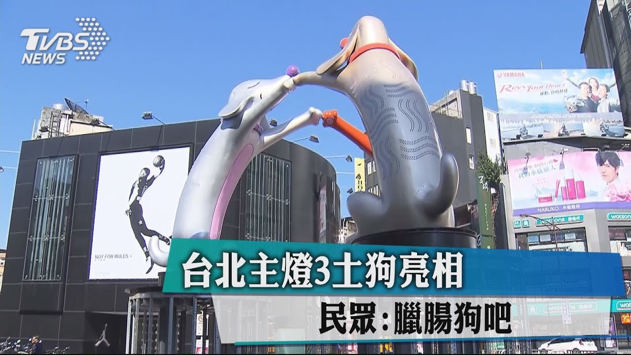 台北主燈3土狗亮相 民眾:臘腸狗吧