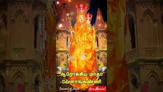 Download lagu உன்னை தேடி வந்தேன் சுமை/VelankanniMadhafeast song mp3 Download lagu உன்னை தேடி வந்தேன் சுமை/VelankanniMadhafeast song mp3
