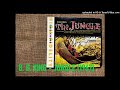 07 Ain't Nobody's Business /B. B. King The Jungle (1967)