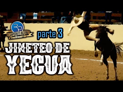 MARE RIDING part 3 - IV Centennial Championship 2020