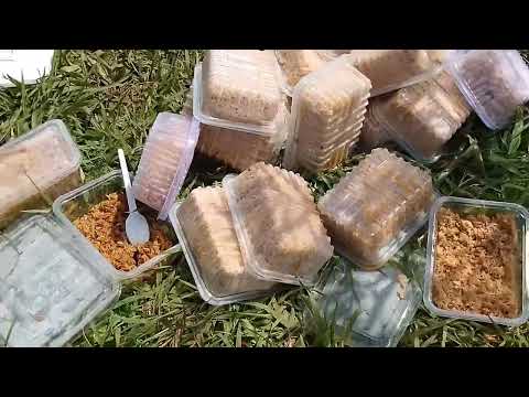 How people celebrated President Museveni's nomination in Kololo