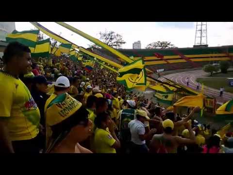 "El karnaval en las graderias, FORTALEZA LEOPARDA SUR 2014" Barra: Fortaleza Leoparda Sur • Club: Atlético Bucaramanga • País: Colombia