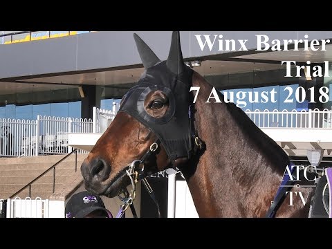 ATC TV: Winx Trial 7 August 2018