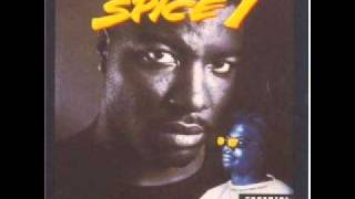 Spice 1 - In My Neighbourhood Instrumental