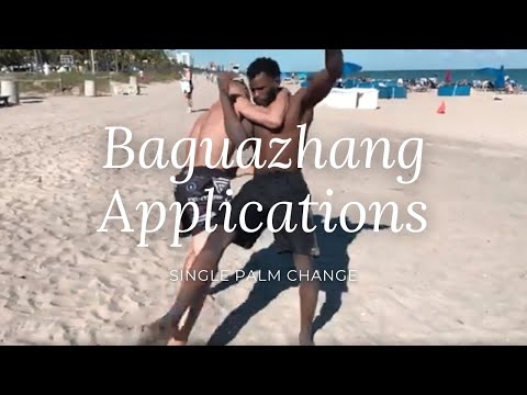 Baguazhang Basic Fighting Applications - Single Palm Change