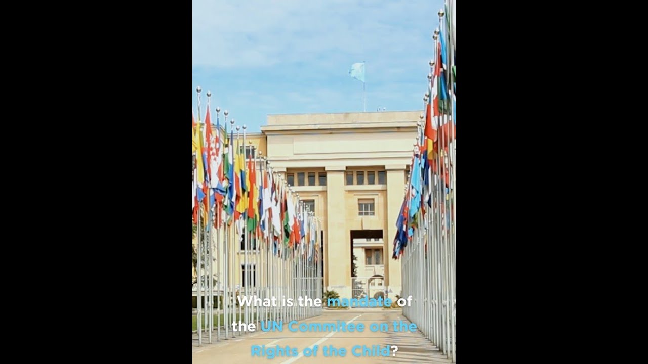 Highlights from Webinar on Litigation before the UN CRC on the Rights of the Child