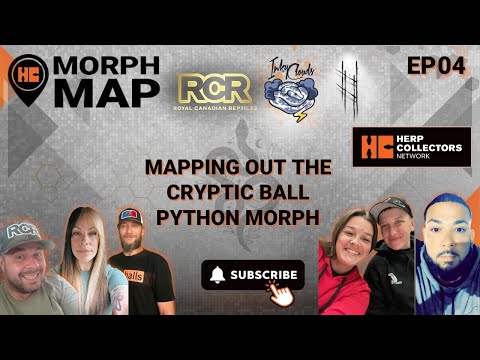 EP04 – Mapping Out the Cryptic Ball Python Morph