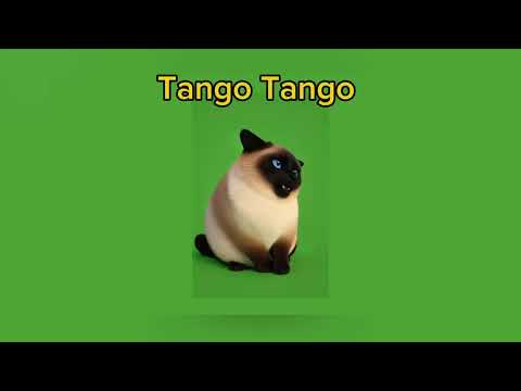 TANGO TANGO SUGAR AND MANGO 🥭 🎶