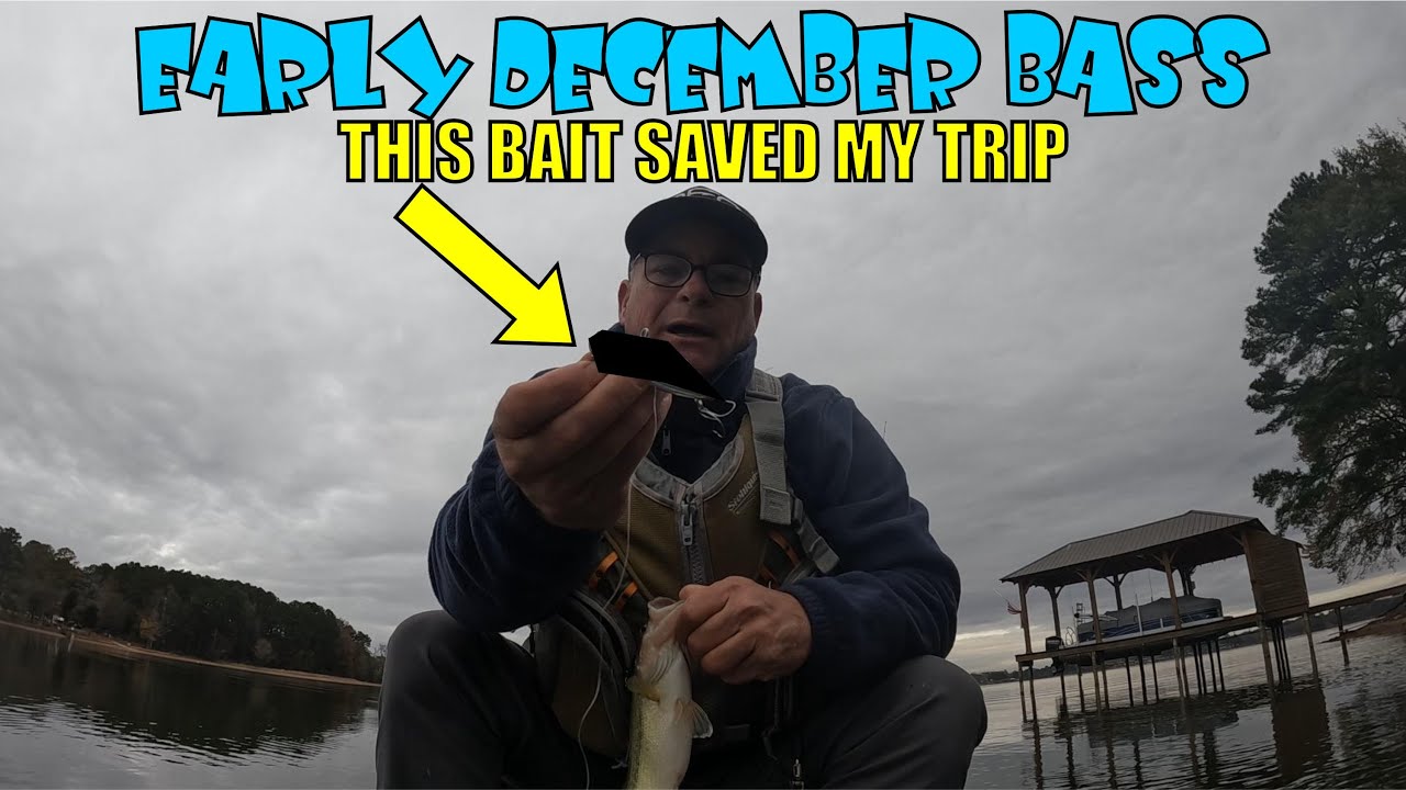 Early December Bass * This Bait Saved My Trip
