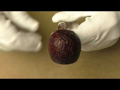 Dunhill Cumberland 3107 - pipe D711