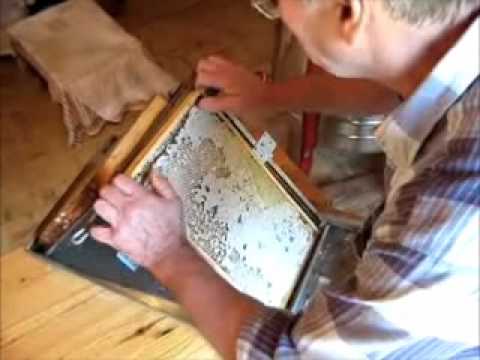 Jak dostat melicitózu do sklenic