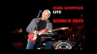 Mark Knopfler - Redbud tree (Live) - Saskatoon October 8, 2012.