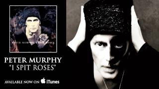 Peter Murphy - I Spit Roses [Audio]