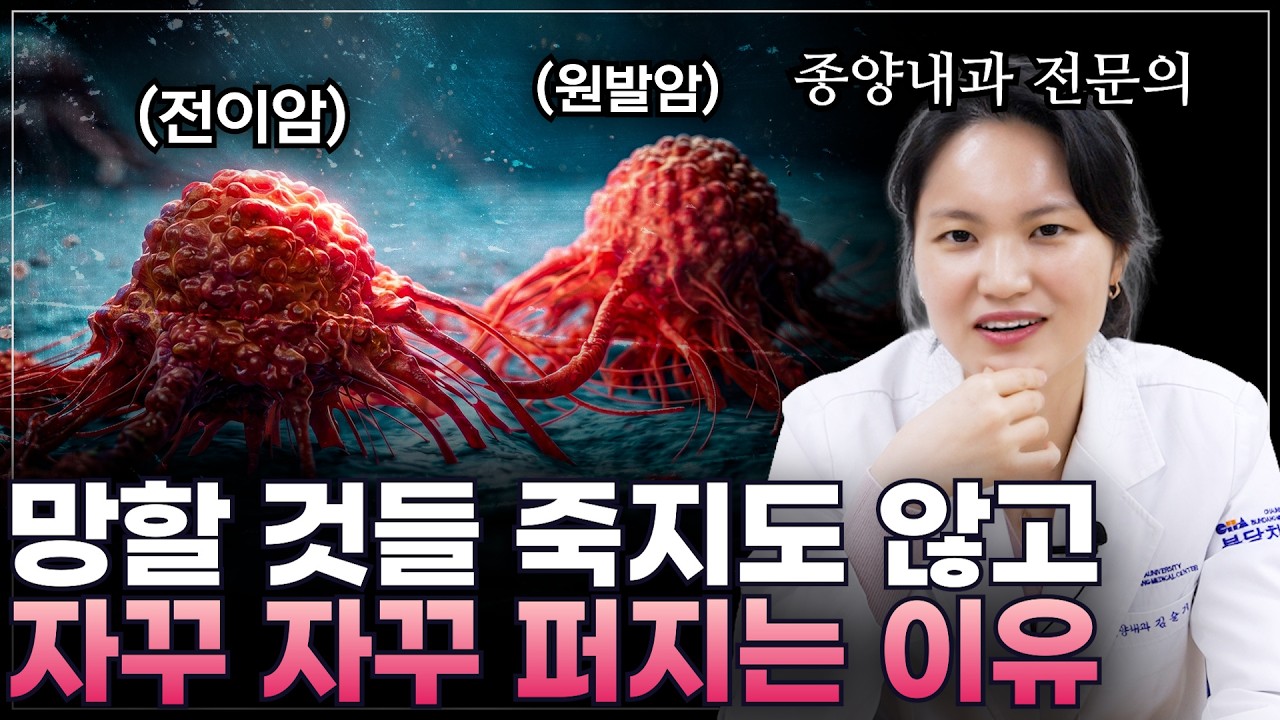 내 몸의 암은 왜 자꾸 퍼질까 종양내과 의사가 알려주는 '전이의 모든 것 1부'