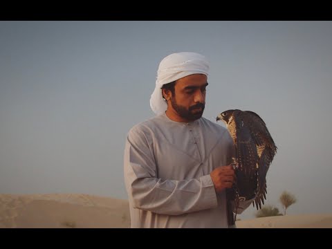Falconry - A Rich UAE Tradition