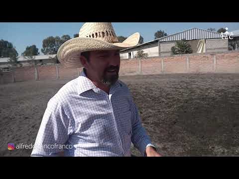 THE ROAD TO FUTURITY VIP - Chapter 11 (Part 8)