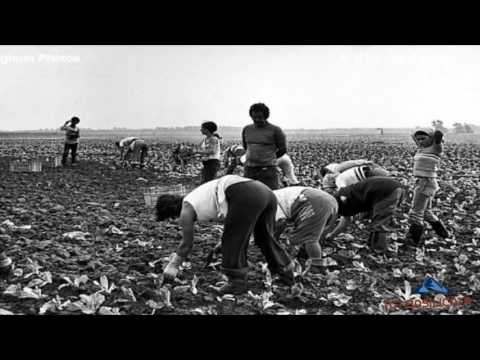 TG7 Basilica Memoria. La Spedizione in Lucania di Ernesto De Martino 1952 (3. Parte)