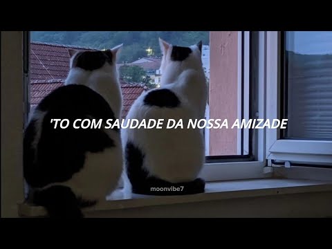 𝖳𝗈̂ 𝖼𝗈𝗆 𝗌𝖺𝗎𝖽𝖺𝖽𝖾 𝖽𝖺 𝗇𝗈𝗌𝗌𝖺 𝖺𝗆𝗂𝗓𝖺𝖽𝖾