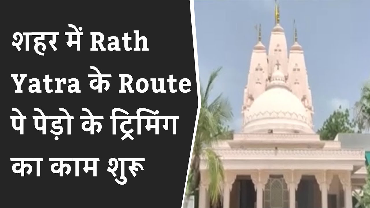 शहर में रथयात्रा के रुट पे पेड़ो के ट्रिमिंग का काम शुरू  BRG NEWS