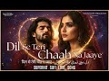 Dil Se Teri Chaah Na Jaaye दिल से तेरी चाह न जाए دل سے تیری 