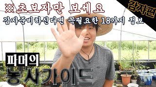 감자농사에 필요한 18가지 정보 / 감자종류와 품종 심는방법과 기타 등등/ 파머의 농사가이드 감자편 #감자 …