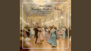 Berliner-Concerthaus Polka, Op. 269