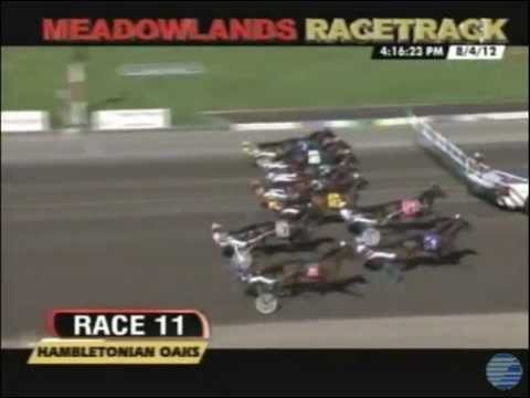 HAMBLETONIAN OAKS 2012 No. 87 FINAL_Personal Style 1:53,1_David Miller