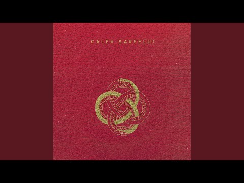 Răsplata (feat. Diana Brașov)