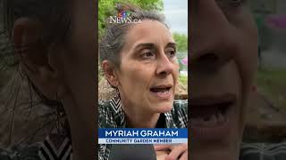 City of Ottawa closes community garden after conflicts between gardeners