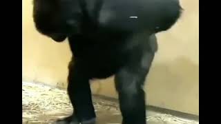 Download lagu Kata baba mp3