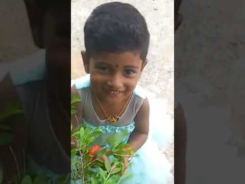 Evaniya S #evasfamily@palakkad #mandakini #ullathudikkandong #trendingshorts #trendingsong