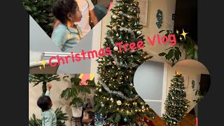 Vlogmas 2022 |Day 1|