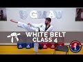 Taekwondo Follow Along Class White Belt Class 4