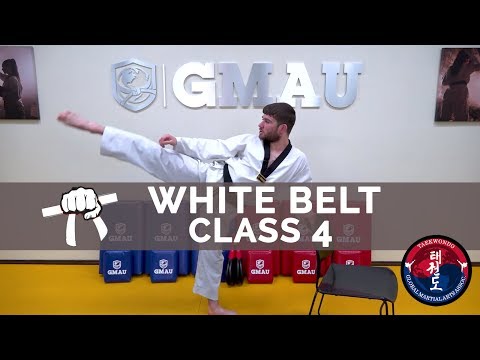 Taekwondo Follow Along Class - White Belt - Class #4 thumbnail