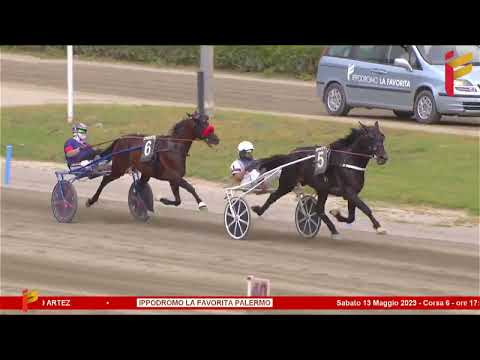 VI Corsa del 13 Maggio 2023 - 5 Anni ed oltre - Metri 1600