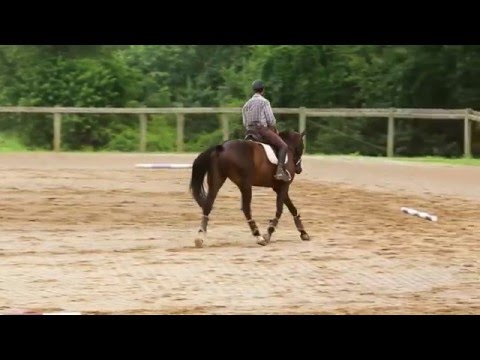 How to Ride a Perfect 20 m circle!