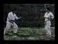 Bunkai Do Bassai Dai