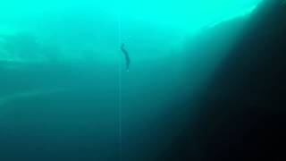the wonder of freediving