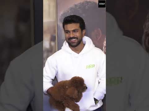 #ramcharan gets his pet dog for #rrr movie promotions with #jrntr #ssrajamouli #shorts