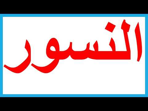 لغة عربية 3 ثانوي ( نص النسور - المدرسة الواقعية ) د محسن العربي راديو الإذاعة التعليمية