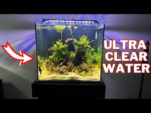 Seachem Purigen Review | Unparalleled Water Clarity!