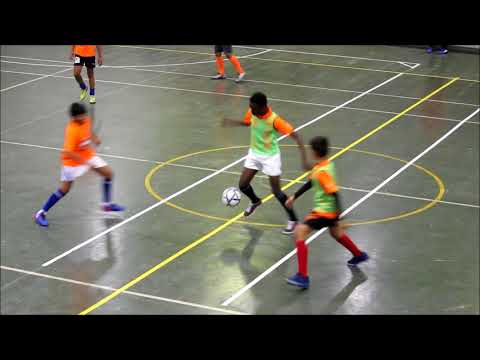 U 11 to U 14   Tigers vs Phoenix @ Mustangs Futsal