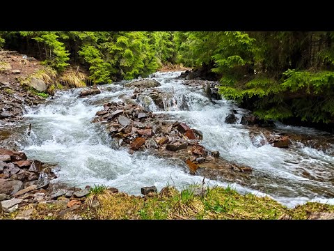 Kelemen havasok 2021  1.rész